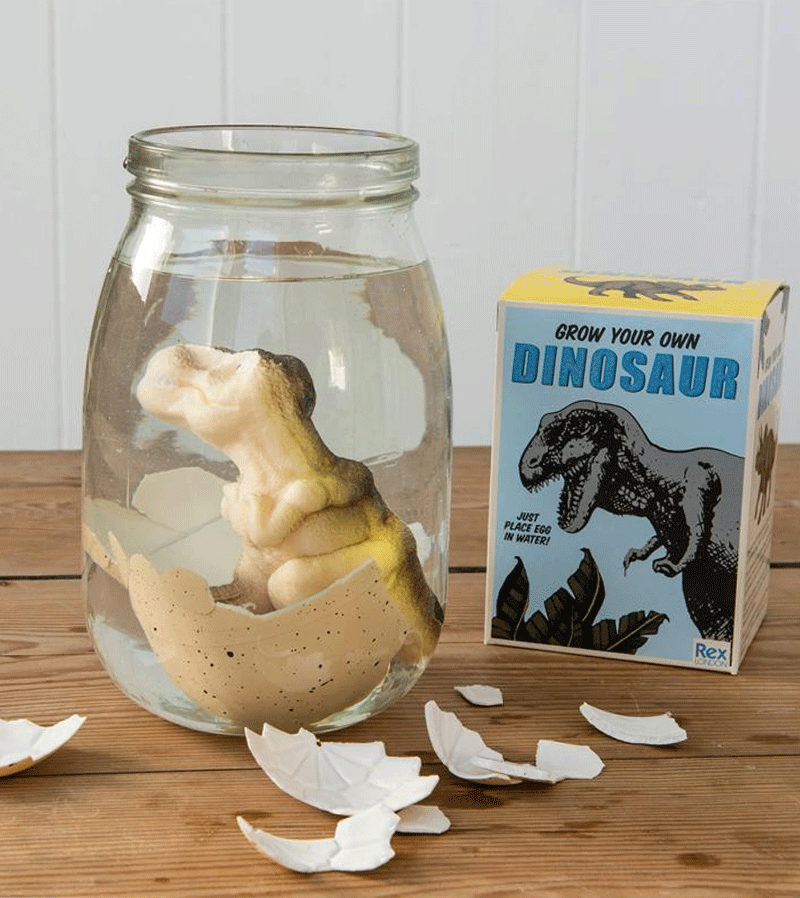 Grow You Own Dinosaur Egg by Rex London