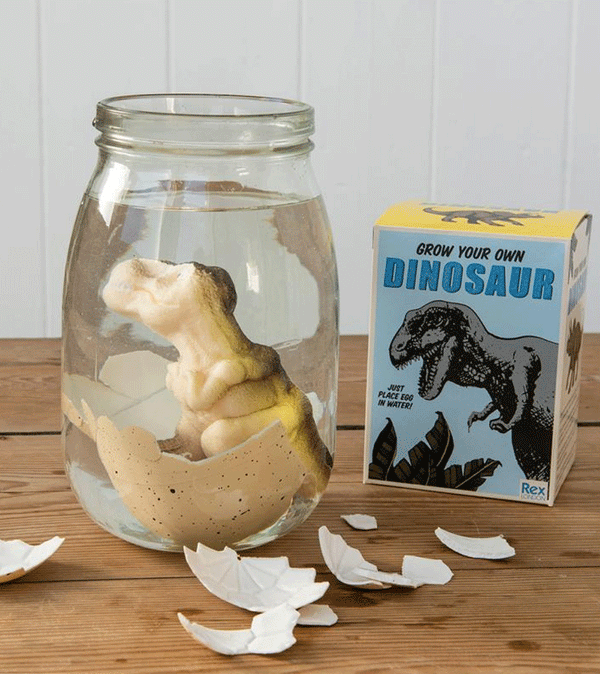 Grow You Own Dinosaur Egg by Rex London