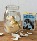 Grow You Own Dinosaur Egg by Rex London