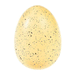 Grow You Own Dinosaur Egg by Rex London