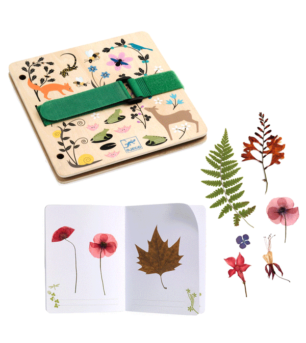 DIY Plant Press and Herbarium to Make by Djeco