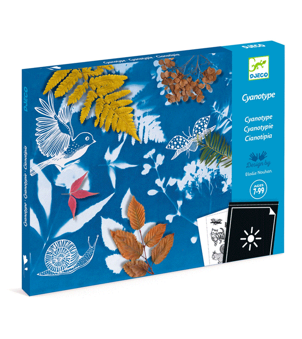 Cyanotype Starter Kit Art Set by Djeco