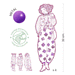 Rosemary & Friends Les Demoiselles Fashion Colouring by Djeco