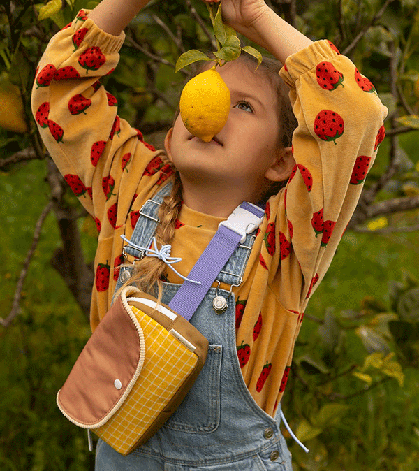 Harvest Moon Farmhouse Fanny Pack by Sticky Lemon