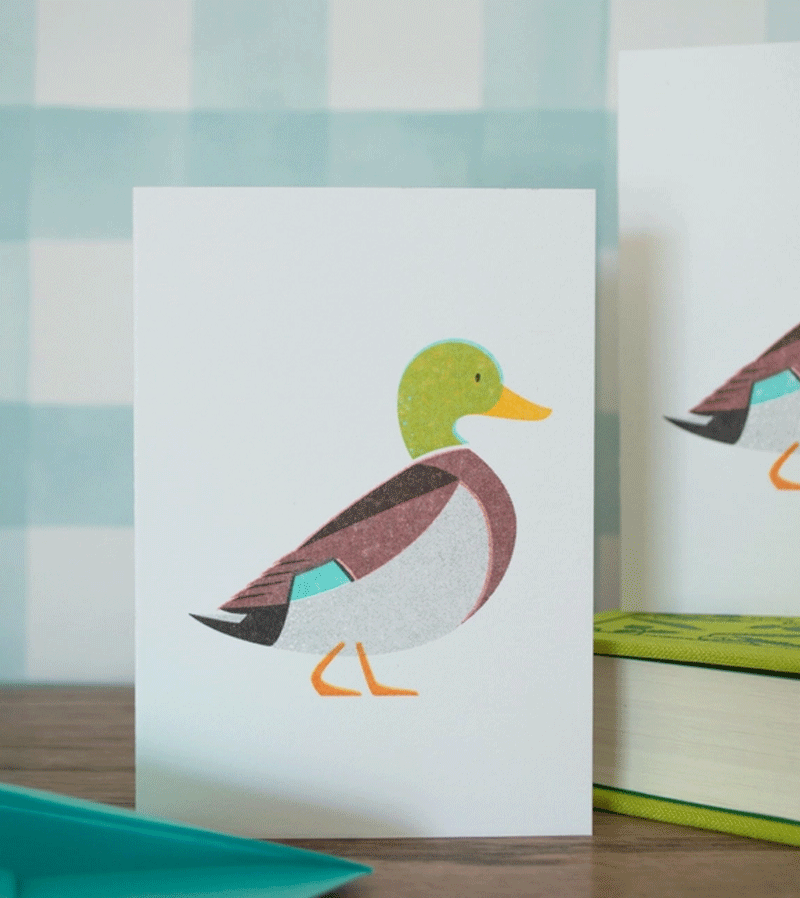 Mallard Duck Mini Card by Bobbie Print