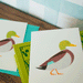 Mallard Duck Mini Card by Bobbie Print