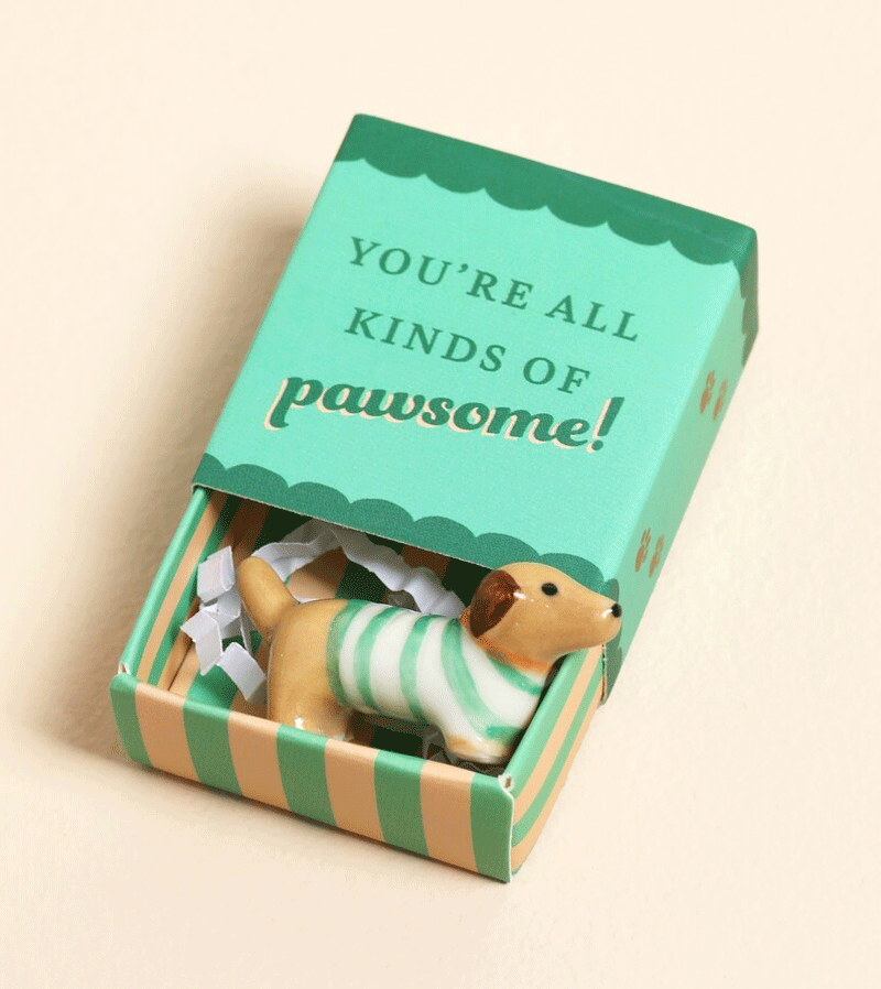 You're All Kinds of Pawsome - Sausage Dog - Matchbox