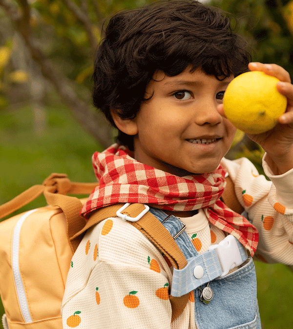 Morning Fog Chest Strap for Backpacks by Sticky Lemon
