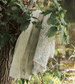 Floral Muslin by Avery Row