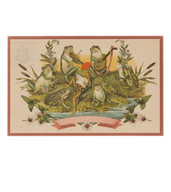 Frog Orchestra Retro  Postcard