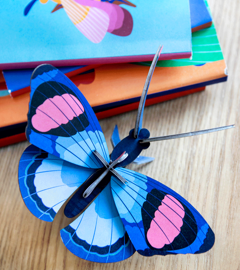 Peacock Butterfly Small Insect by studio ROOF