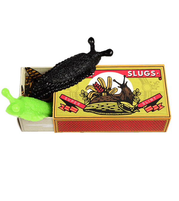 Box Of Slugs - Niddle Noddle