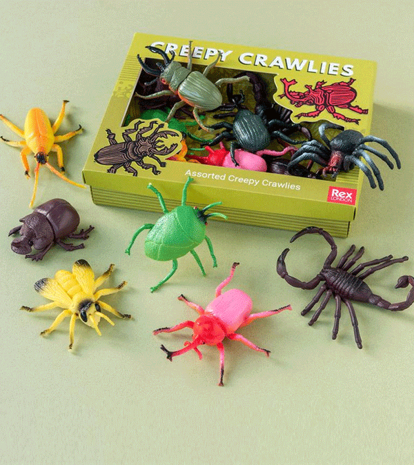 Box of 10 Creepy Crawlies