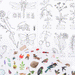 Le Botaniste Colouring & Sticker Book by Moulin Roty - Niddle Noddle
