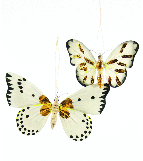 Delicate White and Gold Butterfly Decoration by Cody Foster - Niddle Noddle