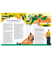 Teen Breathe Issue 15 - Niddle Noddle