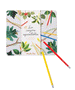 Le Jardin Set of Watercolour Pencils by Moulin Roty - Niddle Noddle