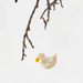 Set of 10 Quilled Paper Chicken In Box by AfroArt - Niddle Noddle
