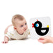 New Born High Contrast Baby Cards Sensory Toy by Banana Panda