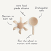 Mushie Water Wheel Bath Toy by Mushie