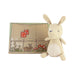Tilly the Rabbit in Tent Box by Nutshell Toys