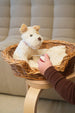 Eliot the Musical Dog Soft Toy by Egmont
