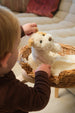 Eliot the Musical Dog Soft Toy by Egmont