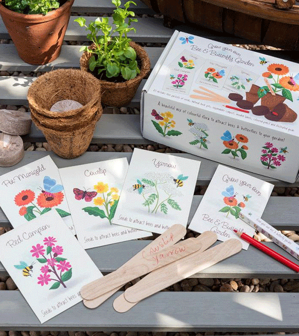 Bee and Butterfly - Flower Growing Kit