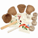 Bee and Butterfly - Flower Growing Kit