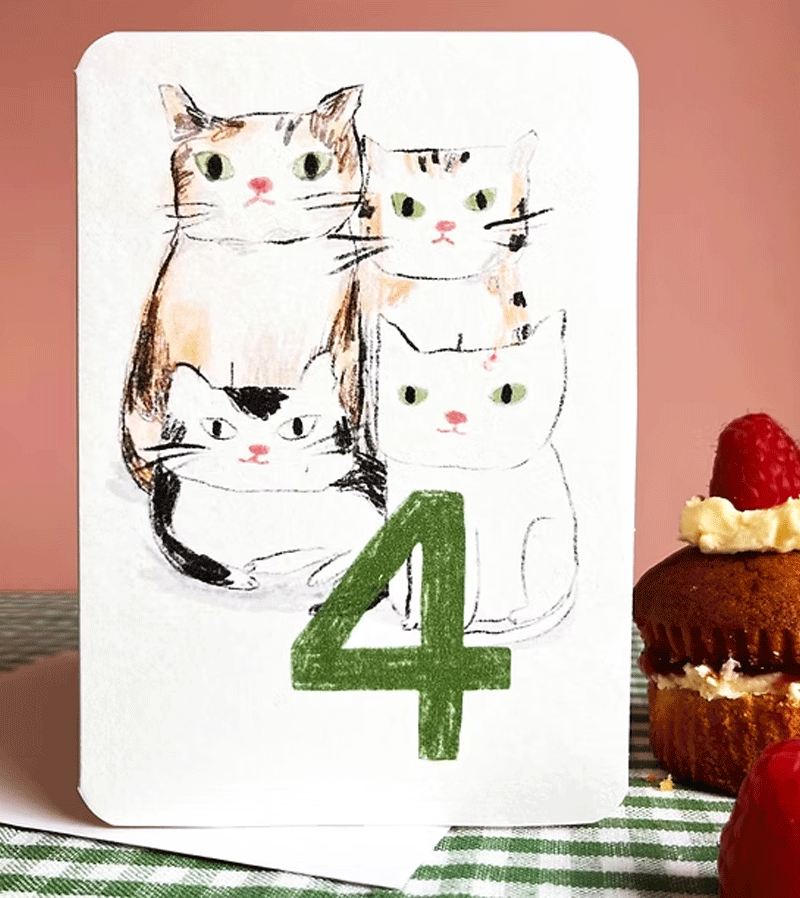 Age 4 Cat Birthday Card by Laura Skilbeck