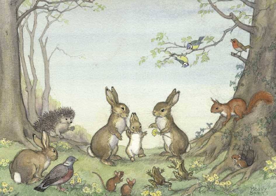 Molly Brett Bunny First Steps Greetings Card by Porch Fairies