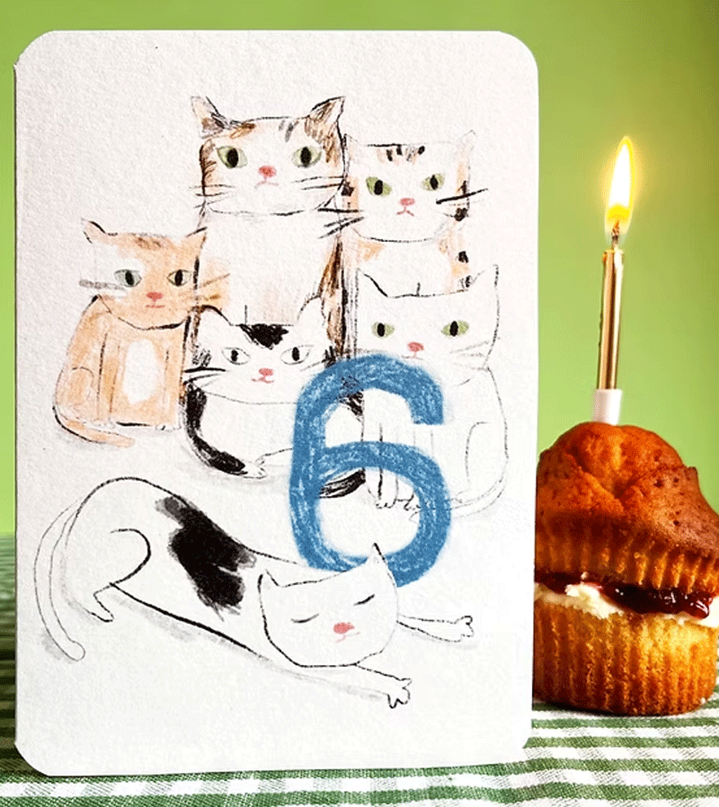 Age 6 Cat Birthday Card by Laura Skilbeck
