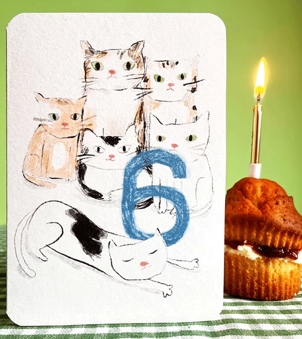 Age 6 Cat Birthday Card by Laura Skilbeck