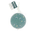 Teal Large Ball with Whales by Tutete