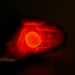 Gootonium: Solar Glow Orange Putty