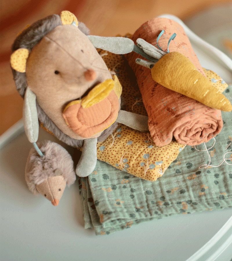 Trois Petits Lapins Activity Hedgehog by Moulin Roty