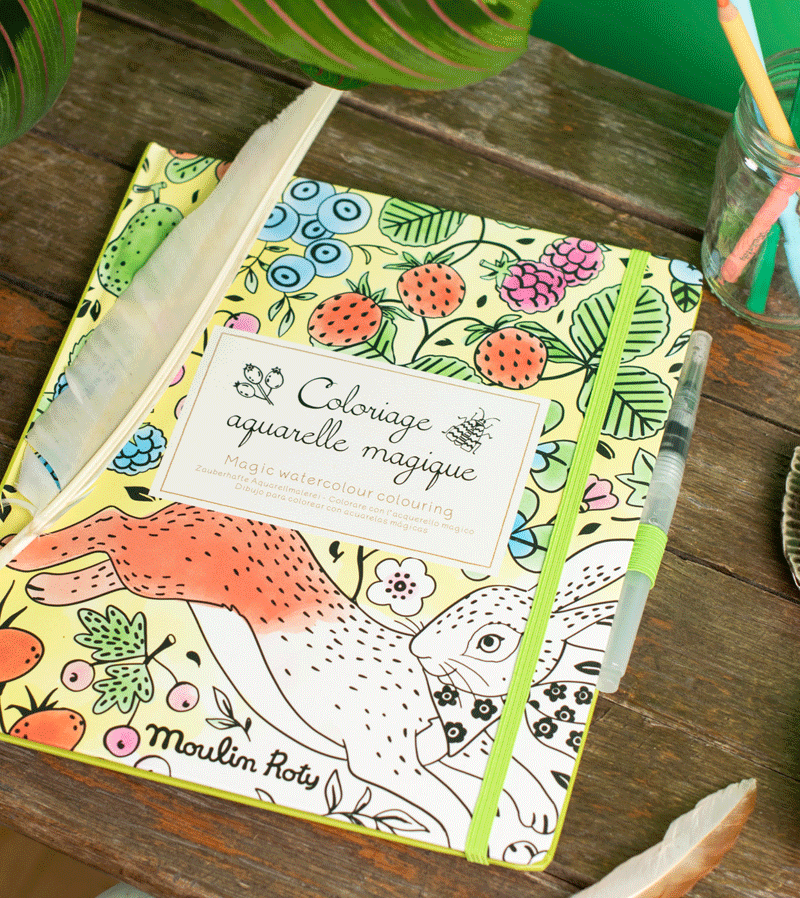 Le Jardin du Moulin Magic Watercolour Colouring Book by Moulin Roty