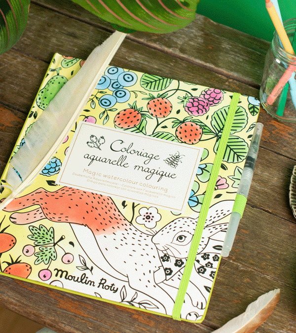 Le Jardin du Moulin Magic Watercolour Colouring Book by Moulin Roty