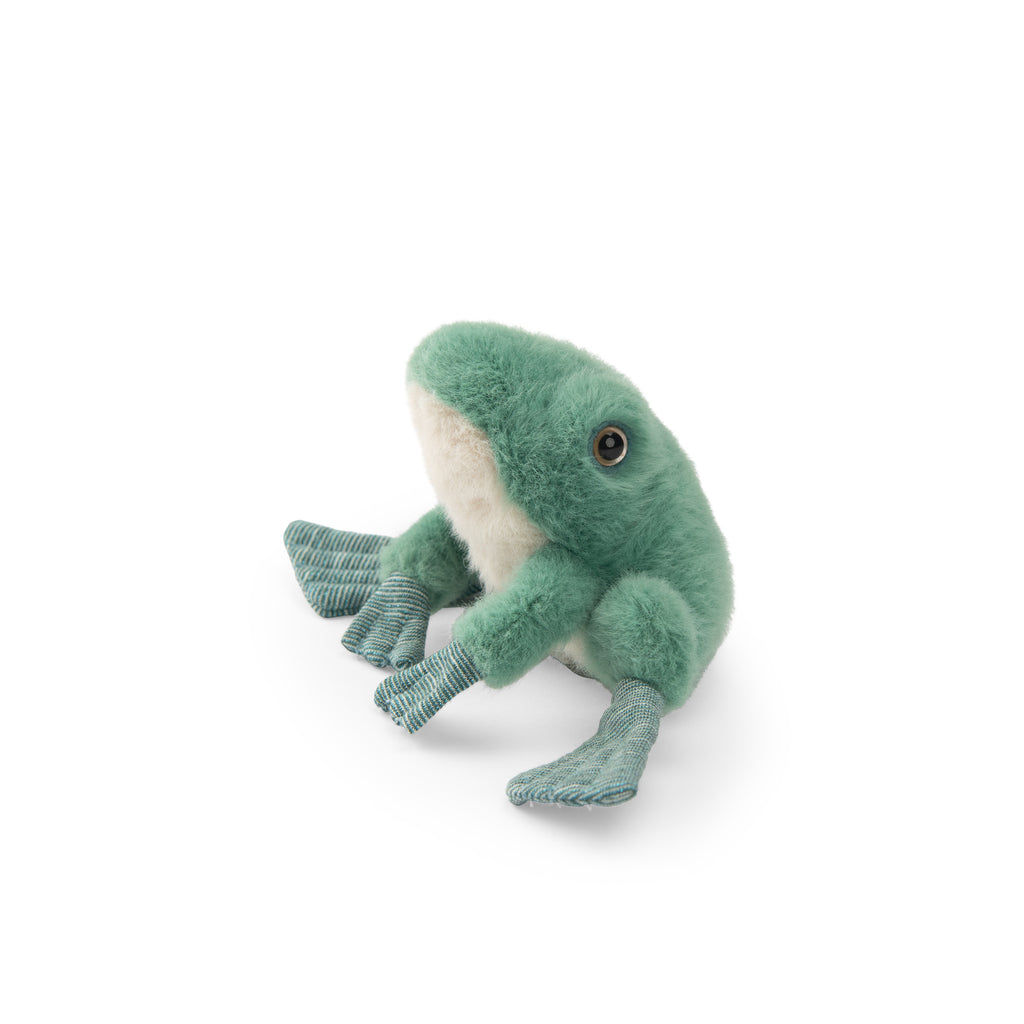 Tout Autour du Monde Frog Soft Toy by Moulin Roty