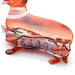 Tortoise Shell Dachshund Sausage Dog Hair Claw Clip by Molly & Rose