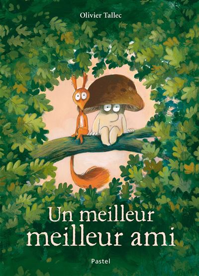 French Book Un Meilleur Meilleur Ami by Olivier Tallec