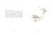 Tale of the Peter Rabbit by Beatrix Potter