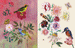 Sticker Book by Nathalie Lete