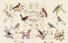 Sticker Book by Nathalie Lete