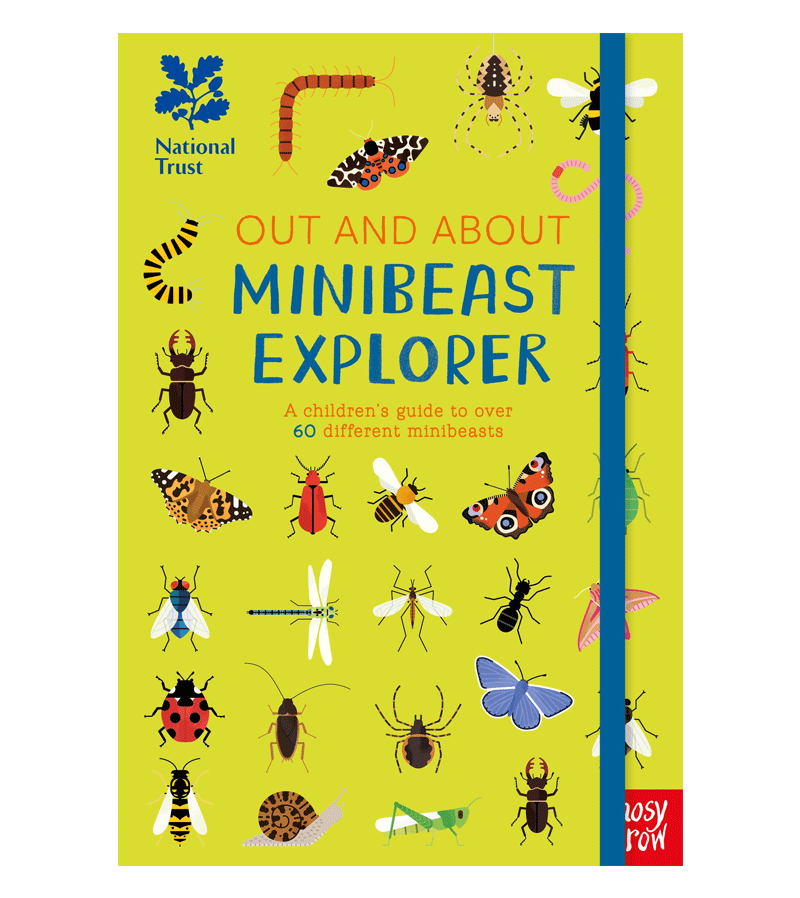 Out and About Minibeast Explorer by National Trust