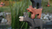 Wooden Brown Dog by Holzwald