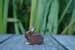 Wooden Brown Rabbit by Holzwald