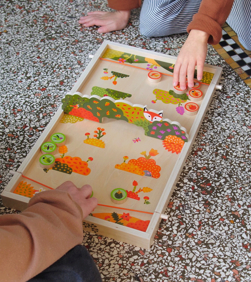 Pass Animo Game by Djeco