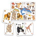 Zanimatch Card Game by Djeco