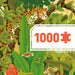 1000 pcs Hidden in the Nature Gallery Puzzle by Djeco